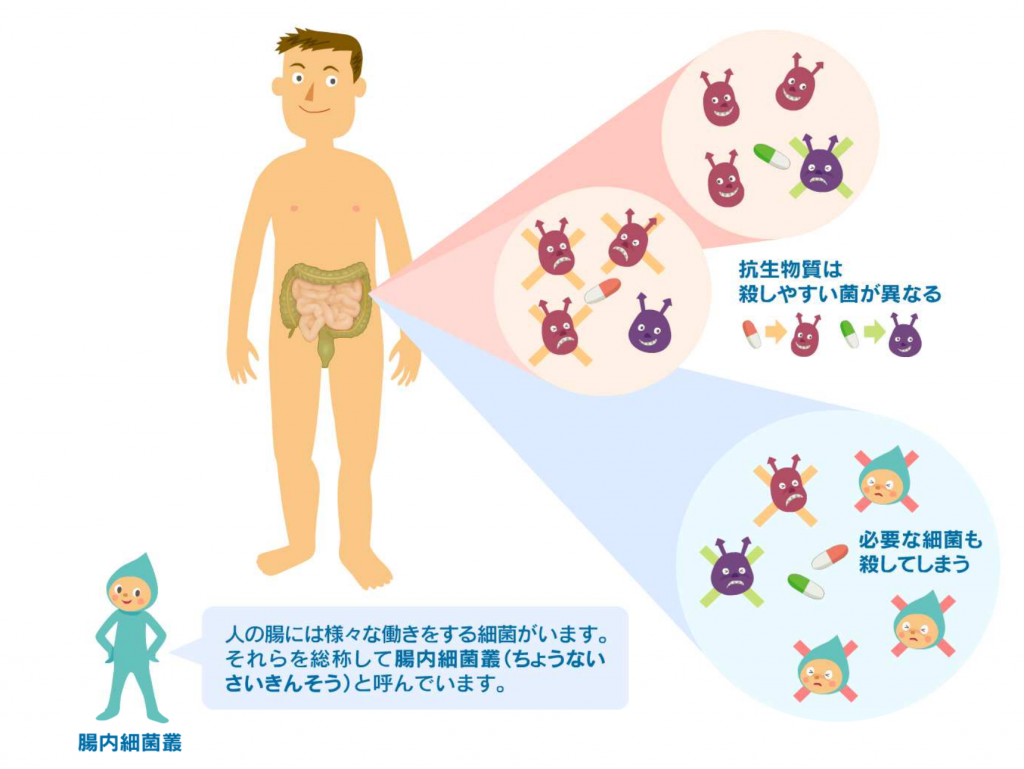 抗生 物質 とお 酒